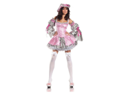 Sexy Womens Pink Marie Antoinette Costume