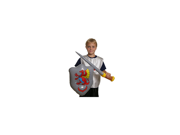 Sword And Shield Set each