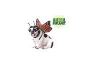 Butterfly Pet Costume by Animal Planet