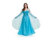 Adult Deluxe Ice Princess Costume