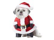 Santa Paws Dog Costume