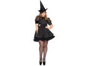 Adult Bewitching Witch Plus Sexy Costume