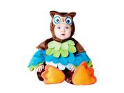 Woo Hoo Owl Bird Costume
