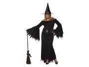 Adult Women Plus Elegant Witch Costume