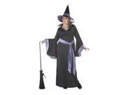 Adult Womens Plus The Glamour Witch Costume