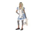 Kids Storybook Alice Costume
