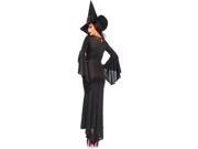Adult Wickedly Sexy Witch Sexy Costume