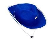Blue Cowboy Hat each