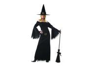 Adult Divine Witch Costume