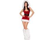 Women s Sexy North Pole Babe Adult Costume