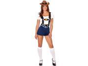Adult Bodacious Beer Babe Sexy Costume