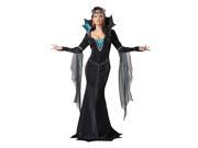 Womens Adult Evil Sorceress Costume