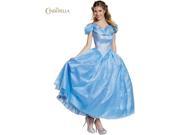 Adult Disney s Cinderella Movie Prestige Costume