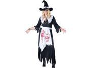 Plus Size Salem Witch Costume Adult