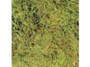 Green Terrarium Moss Xl 30 To 40Gal