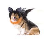 Dog Bat Costume