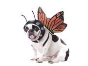 Dog Butterfly Pet Puppy Animal Planet Halloween Costume