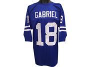 Roman Gabriel unsigned Blue TB Custom Stitched Pro Style Football Jersey 3 4 Sleeves XL