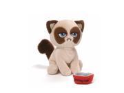 Gund Grumpy Cat Box O Grump Everyday Toy Plush
