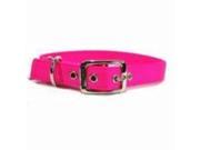 Hamilton Pet Company Double Thick Nylon Dog Collar Hot Pink 1X24 DD 24HP