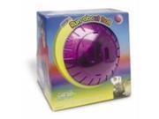 Super Pet Run About Ball Rainbow Assorted 13 Inch Mega 100079361