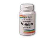 Selenium Yeast Free 100mg 90 Capsule