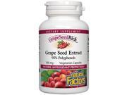 Grape Seed Extract 100mg Natural Factors 90 Capsule