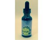 G.I Health Support Herbs of Light 1 oz Liquid