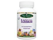 Echinacea Once Daily Paradise Herbs 30 VegCap