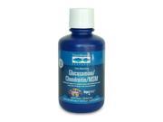Liquid Glucosamine Chondroitin MSM Blueberry Trace Minerals 16 oz Liquid