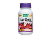 Hawthorn Standardized Extract Nature s Way 90 Capsule
