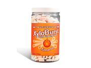 Cinnamon Gum Jar XyloBurst 500ct Gum