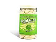 Spearmint Gum Jar XyloBurst 500ct Gum
