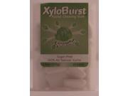 Spearmint Gum XyloBurst 25 ct Gum