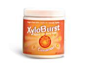 Cinnamon Gum Jar XyloBurst 100ct Gum