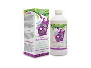 Prenatal Multi Liquid Liquid Health 16 oz Liquid