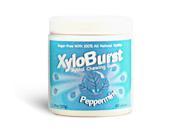 Peppermint Gum Jar XyloBurst 100ct Gum