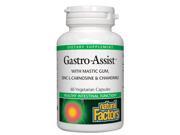 Gastro Assist Natural Factors 60 VegCap