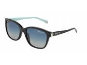 Tiffany 4083 Sunglasses in color code 80014L