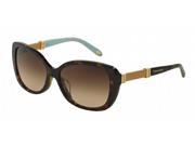 Tiffany 4106B Sunglasses in color code 80153B