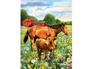 Junior Small Paint By Number Kit 8.75 X11.75 Horse In Field