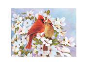 Color Pencil By Number Kit 8.75 X11.75 Cardinals
