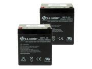 Black and Decker CST2000 CS100 Replacement 2 Pack Battery 243213 00 2PK