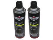 Briggs Stratton 2 Pack Of Genuine OEM Replacement Oil 100042 2PK