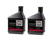 Briggs Stratton 2 Pack Of Genuine OEM Replacement Oil 100005 2PK