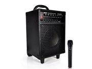 Portable BT PA Speaker System, Built-in Battery, Microphone, 30-Pin IOS Dock, 600 Watt