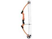 Genesis Original Compound Bow Kit Right Hand 11409