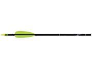 Eastman Outdoors Carbon Express Thunder Express II 26 Inch Youth Arrow