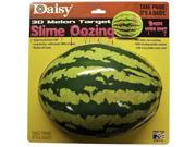 Daisy Oozing Melon Watermelon 3D Shooting Target 990878 406