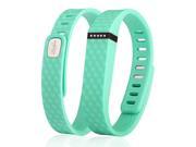 eForCity Replacement Wristband Bracelet for Wireless Activity Tracker Fitbit Flex w Double Clasp Mint Green Size L